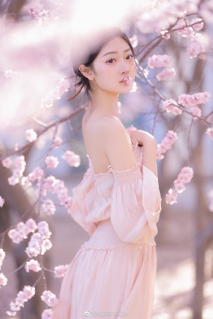 承欢记 封面